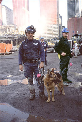 State_Department_Images_WTC_9-11_Officer_with_the_Canine_Rescue_Team